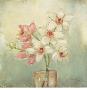 Orchid Blossom Iii by Eva Kolacz Limited Edition Print