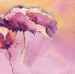Candy Mohn I by Elena Filatov Limited Edition Pricing Art Print