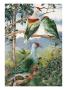 Painting Of Three Fruit Pigeons Perched On Branches by National Geographic Society Limited Edition Print