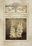 Foxglove Trumeau by Kathryn White Limited Edition Print