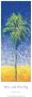 Palm With Blue Sky by Edward Rubin Limited Edition Pricing Art Print