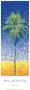 Palm With Blue Sky by Edward Rubin Limited Edition Print