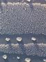 Waterdrops, Dew On Cars, Lymington, Hampshire, England, United Kingdom by Brigitte Bott Limited Edition Pricing Art Print