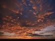 Sunset Sky Over Serengeti National Park, Tanzania by Anup Shah Limited Edition Print