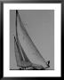 Newport Bermuda Sailing Race: Profile Of Sailboat Ticonderoga During Bermuda Races by Peter Stackpole Limited Edition Print
