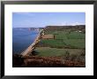 East Devon Coast Path, Near Sidmouth, Devon, England, United Kingdom by Cyndy Black Limited Edition Print