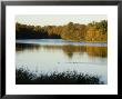 Lake, Autumn, Virginia Water, Surrey, England, United Kingdom by Charles Bowman Limited Edition Print