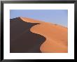 Sand Dune Near Sesriem, Namib Naukluft Park, Namibia, Africa by Lee Frost Limited Edition Pricing Art Print