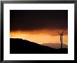 Windmill And Power Lines At Dawn, Manawatu, New Zealand by Don Smith Limited Edition Print