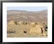 Desert Camp Of Afar Nomads, Afar Triangle, Djibouti, Africa by Tony Waltham Limited Edition Print