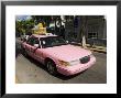 Pink Taxis, Duval Street, Key West, Florida, Usa by R H Productions Limited Edition Print