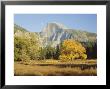Half Dome In The Autumn, Yosemite National Park, California, Usa by Gavin Hellier Limited Edition Pricing Art Print