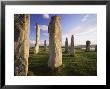 Standing Stones Of Callanish, Isle Of Lewis, Outer Hebrides, Scotland, United Kingdom, Europe by Lee Frost Limited Edition Print