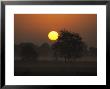 Sunrise, Fischland, Mecklenburg-Vorpommern, Germany by Thorsten Milse Limited Edition Pricing Art Print