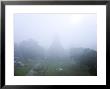 Guatemala, El Peten, Tikal, Gran Plaza, Temple Of The Great Jaguar by Jane Sweeney Limited Edition Print