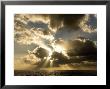 Sunset Over The Pacific by Tim Laman Limited Edition Print