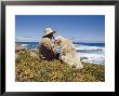 Man And His Italian Sheep Dog Sit Overlooking The Ocean by Jason Edwards Limited Edition Print