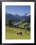 Alpbach, Tirol, Austria by Doug Pearson Limited Edition Print