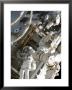 Astronauts Participating In Extravehicular Activity During Sts-124 by Stocktrek Images Limited Edition Print