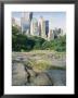 Outcrop Of Manhattan Gneiss Which Forms Bedrock For Skyscrapers, Central Park, New York City, Usa by Tony Waltham Limited Edition Pricing Art Print