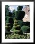 Topiary, Levens Hall, Cumbria, England, United Kingdom by Adam Woolfitt Limited Edition Print