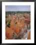 Elevated View Of The Town, Dinkelsbuhl, The Romantic Road, Bavaria, Germany, Europe by Gavin Hellier Limited Edition Print