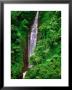 Tiavi Falls, Upolu, Samoa by Peter Hendrie Limited Edition Print