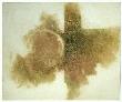 Siguensa En La Bruma by Pablo Rodriguez Guy Limited Edition Print