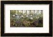 The Herbacious Border by Patrick William Adam Limited Edition Pricing Art Print
