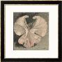 Loie Fuller (Mary Louise Fuller) American Dancer At The Folies Bergere Paris by Théophile Alexandre Steinlen Limited Edition Pricing Art Print