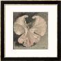Loie Fuller (Mary Louise Fuller) American Dancer At The Folies Bergere Paris by Theophile Alexandre Steinlen Limited Edition Print