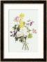Bouquet Of Mixed Flowers by Jean Louis Prevost Limited Edition Print