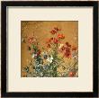 Poppies, Irises And Blossom by Jean Brenner Limited Edition Print