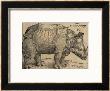 Rhinoceros, 1515, Etching by Albrecht Dã¼rer Limited Edition Print