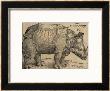 Rhinoceros, 1515, Etching by Albrecht Durer Limited Edition Print