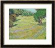 Field In Sunlight, C.1888 by Vincent Van Gogh Limited Edition Print