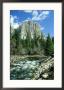 El Capitan & Merced River, Yosemite National Park, Usa by Mark Hamblin Limited Edition Print