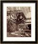 Tropical Plants In The Egyptian Room, Crystal Palace, Sydenham, 1854 by Philip Henry Delamotte Limited Edition Print