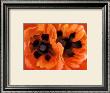Oriental Poppies by Georgia O'keeffe Limited Edition Print