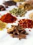 Various Indian Spices by Jorn Rynio Limited Edition Print