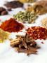 Various Indian Spices by Jorn Rynio Limited Edition Pricing Art Print