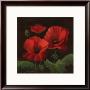 Vibrant Red Poppies I by Gloria Eriksen Limited Edition Print