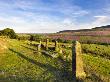 Standing Stones On The North Yorkshire Moors With Arden Great Moor In The Distance, Yorkshire, Engl by Lizzie Shepherd Limited Edition Pricing Art Print