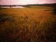 Grassland And Lake At Sunset, Sor-Trondelag, Norway by Jon Davison Limited Edition Print