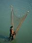Man Fishing With Net, Amarapura, Mandalay, Myanmar (Burma) by Bernard Napthine Limited Edition Print