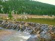 Beaver Dam On Small River, Colorado by David Boag Limited Edition Print