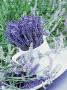 Lavender Ideas by Linda Burgess Limited Edition Pricing Art Print