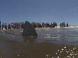 Copper Shark, Swims In The Shoreline As Beach Goers Look On, South Africa, Atlantic Ocean by Chris And Monique Fallows Limited Edition Print