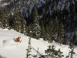 Man Skiing At Solitude Mountain Resort, Utah, Usa by Mike Tittel Limited Edition Print