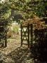 Rustic Gate In Deep Shade Under Tree, September, Sherborne Garden, Somerset by Mark Bolton Limited Edition Print